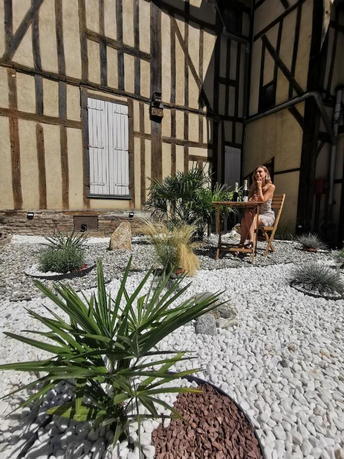 L'Oiseau De La Cathedrale - Calme - Jardin - Wifi Apartman Troyes Kültér fotó